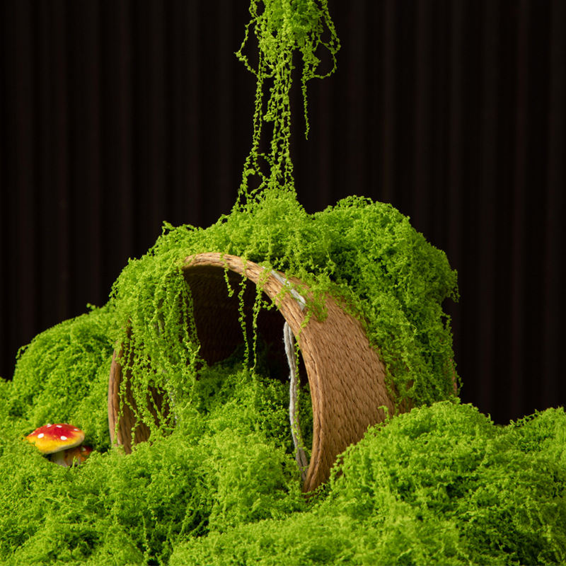 Bonsai Garden Home - Musgo Eterno de 200g para Manualidades,