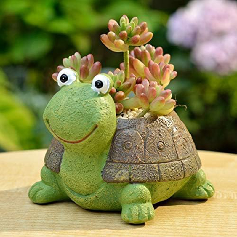 Bonsai Garden Gift - Maceta suculenta de tortuga para niñas,
