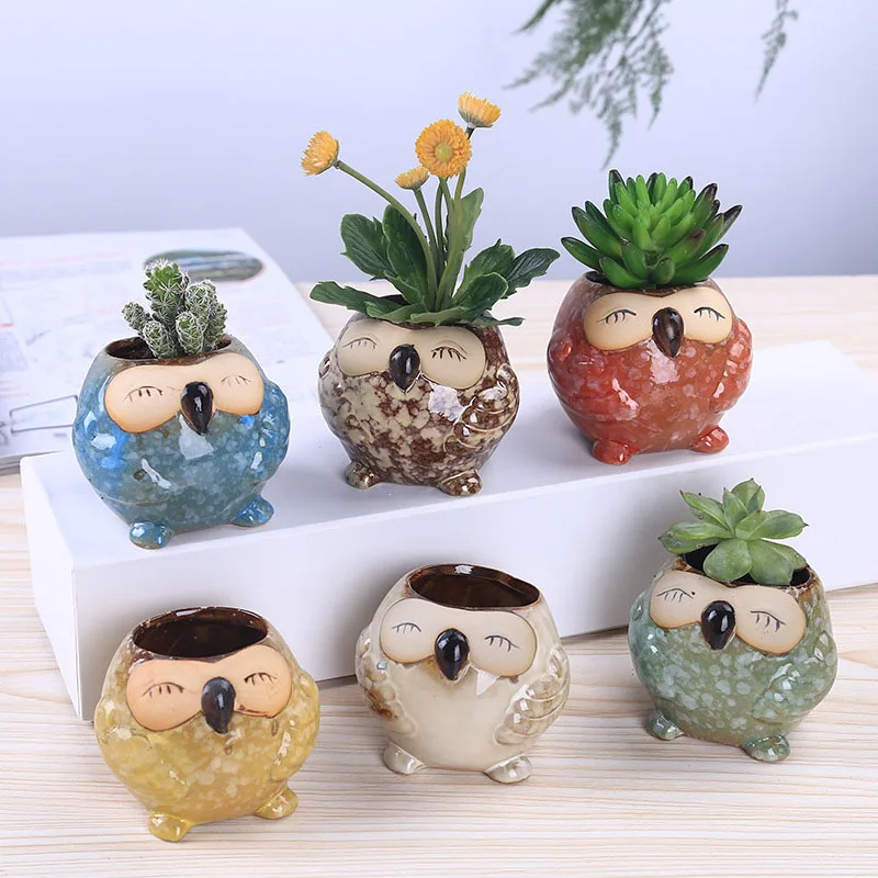 Bonsai Garden Gift - Mini Maceta de Cerámica con Forma