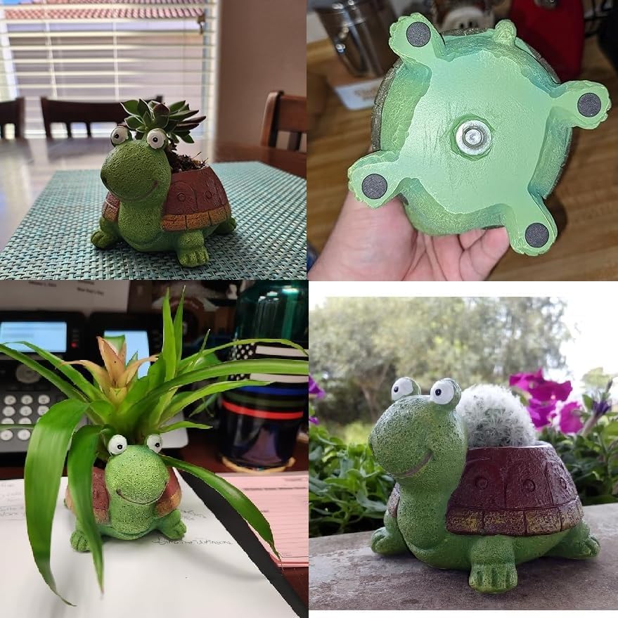 Maceta suculenta de tortuga pa - Bonsai Garden Gift reseña y precio