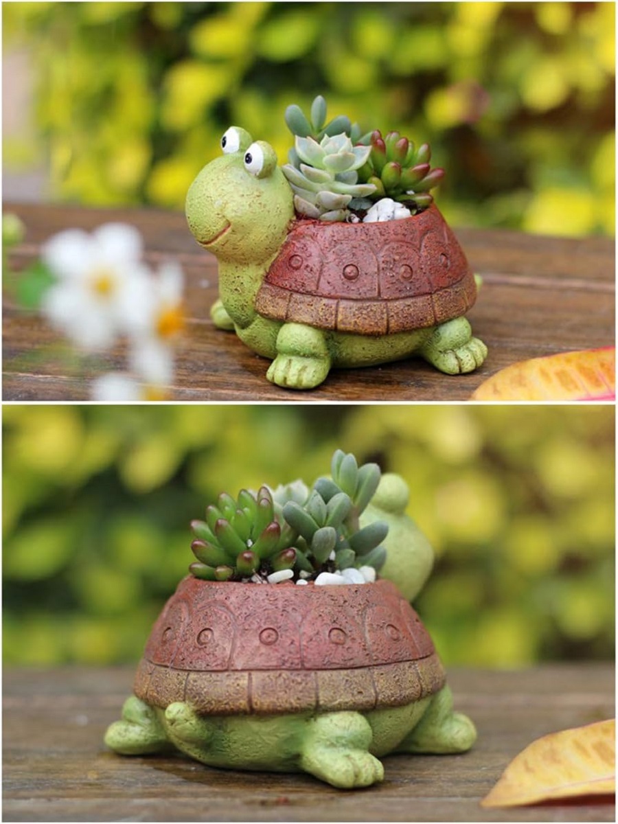 Maceta suculenta de tortuga pa - Bonsai Garden Gift reseña y precio