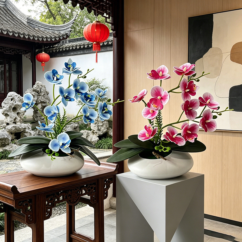 Orquídea Mariposa, Bonsái de 1 - Bonsai Garden Decor reseña y precio