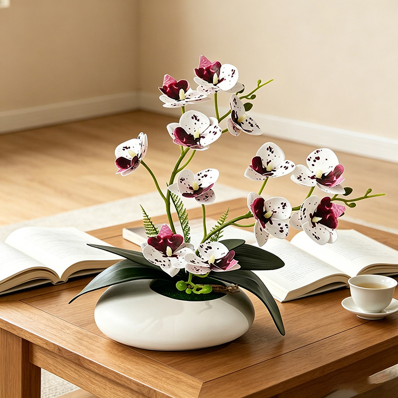Orquídea Mariposa, Bonsái de 1 - Bonsai Garden Decor reseña y precio