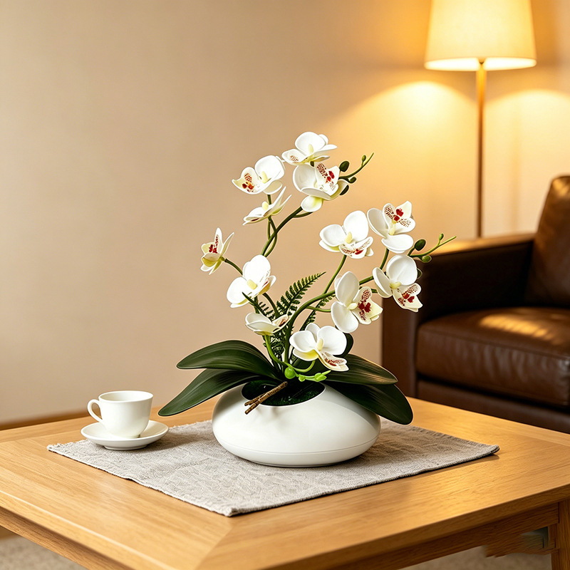 Orquídea Mariposa, Bonsái de 1 - Bonsai Garden Decor reseña y precio