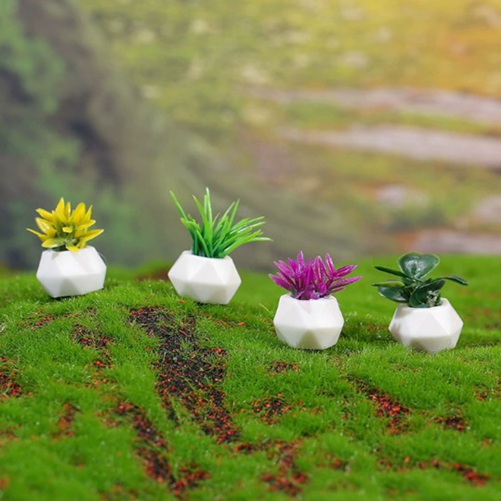 Planta en maceta en miniatura  - Bonsai Garden Home reseña y precio
