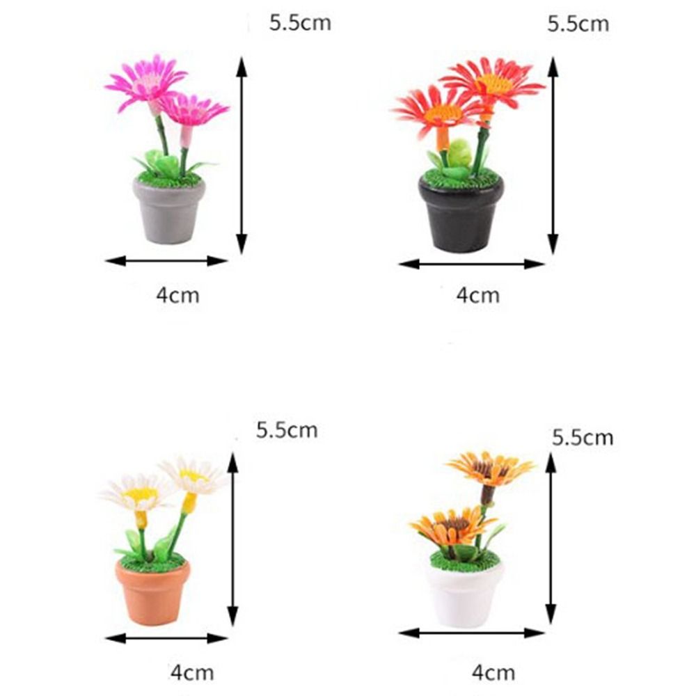 Planta en maceta en miniatura  - Bonsai Garden Home reseña y precio