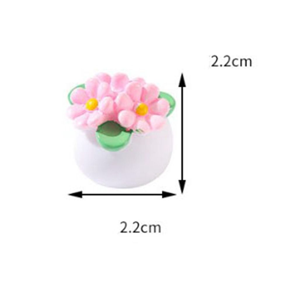 Planta en maceta en miniatura  - Bonsai Garden Home reseña y precio