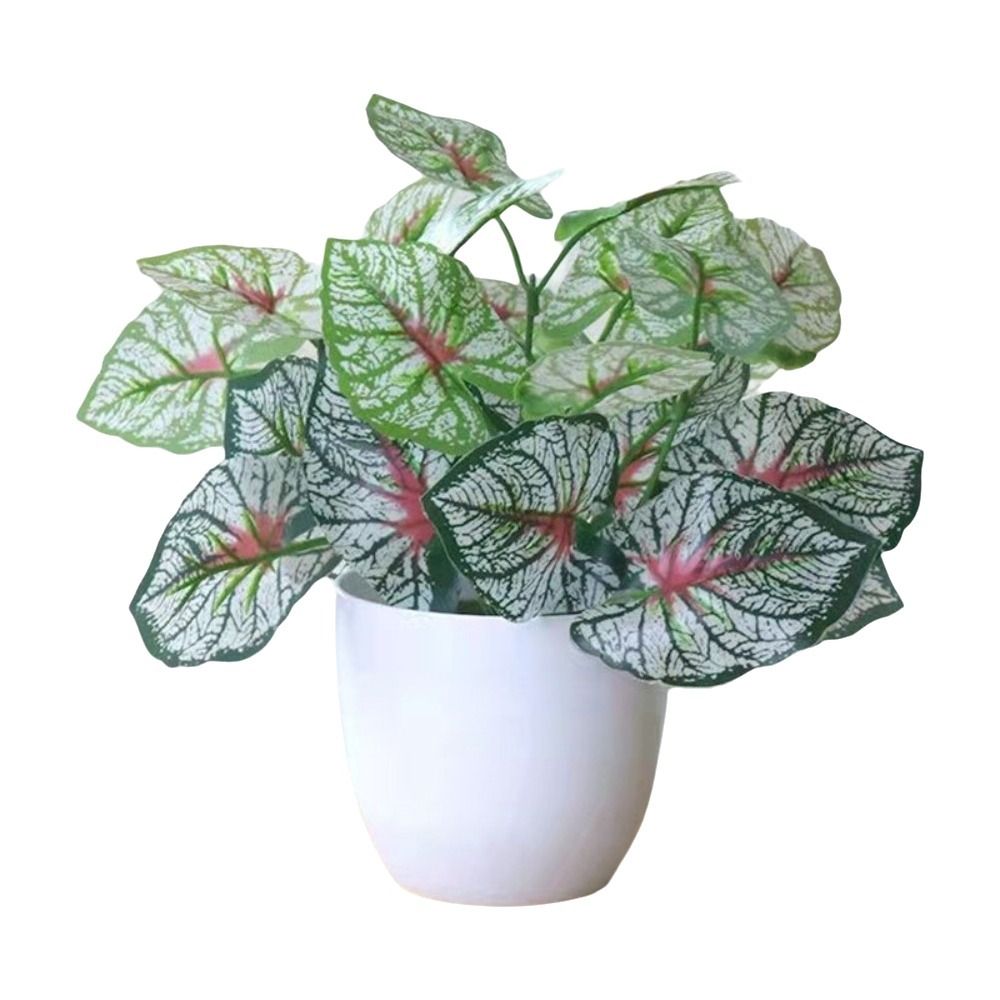 Mini Flores Artificiales en Ma - Bonsai Garden Home reseña y precio