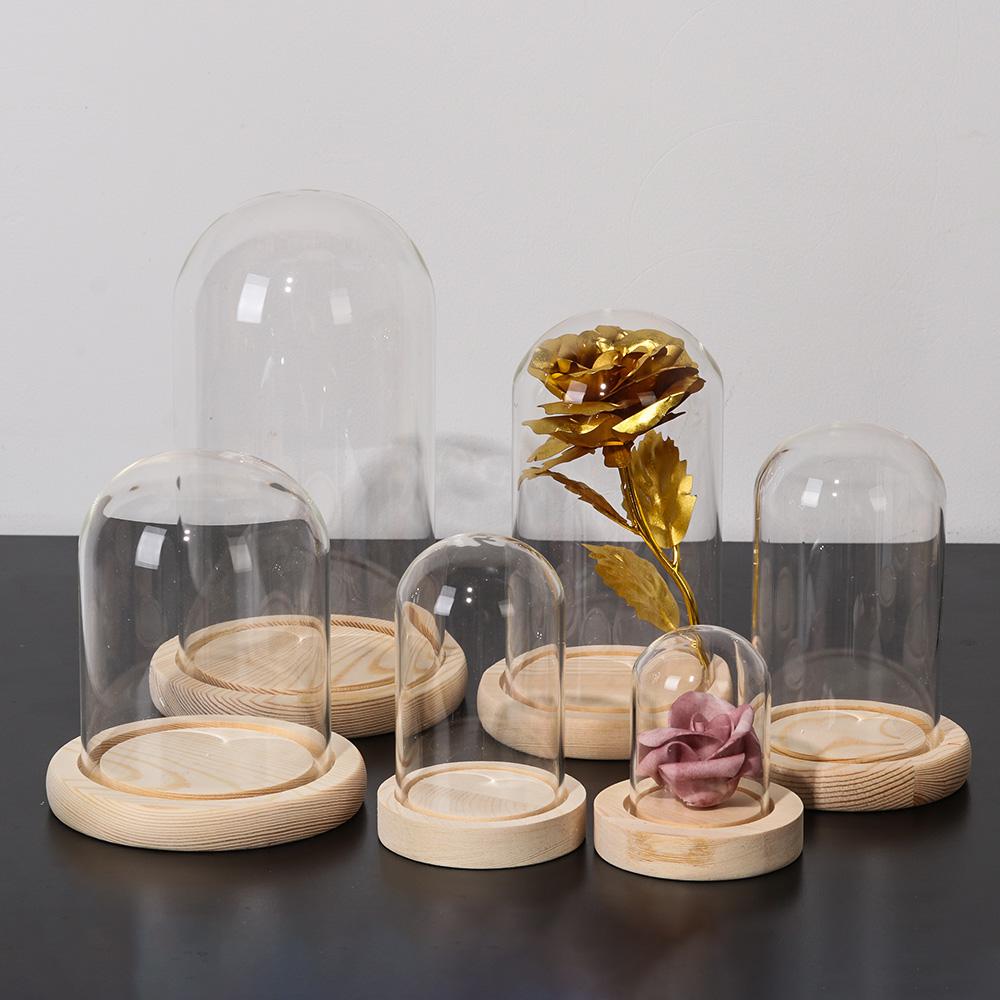 Soporte de exhibición de tarro - Display Stand Wood reseña y precio