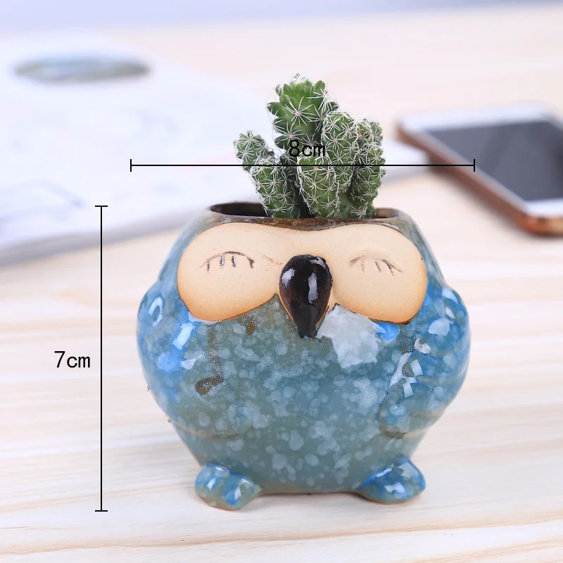 Mini Maceta de Cerámica con Fo - Bonsai Garden Gift reseña y precio