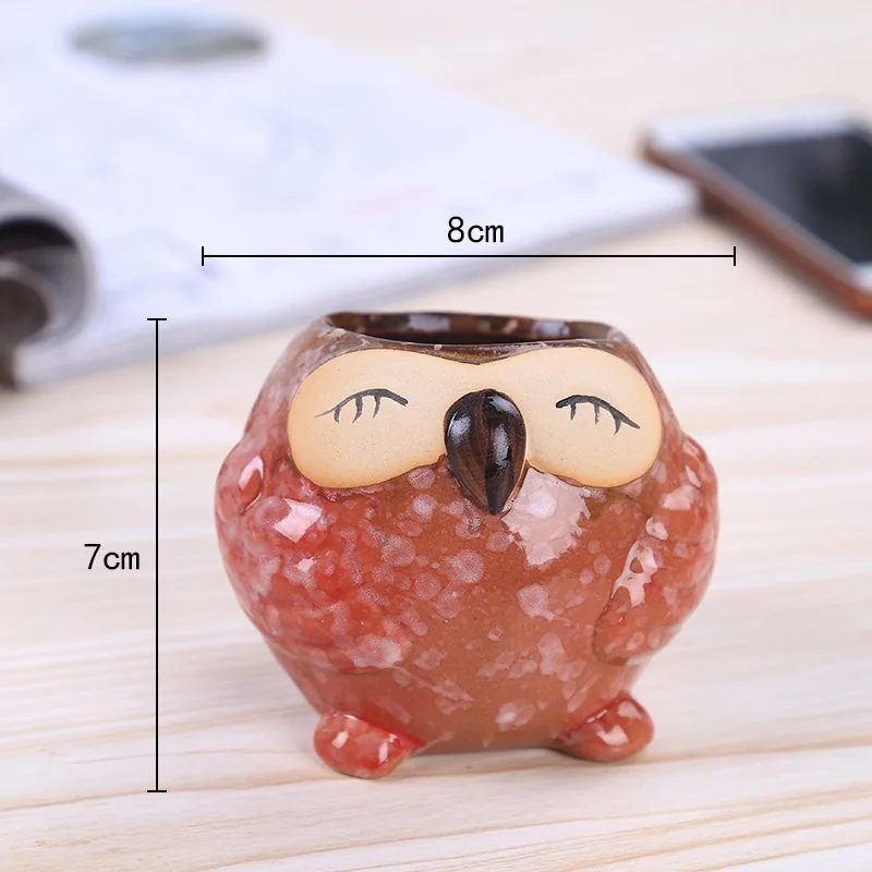 Mini Maceta de Cerámica con Fo - Bonsai Garden Gift reseña y precio