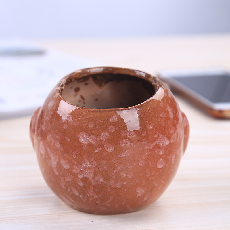 Mini Maceta de Cerámica con Fo - Bonsai Garden Gift reseña y precio